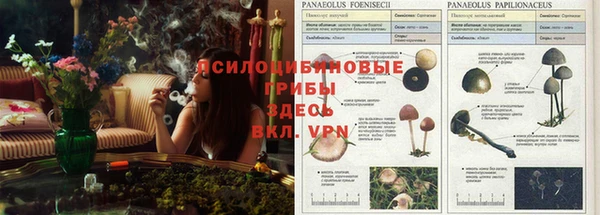 ешки Алексеевка