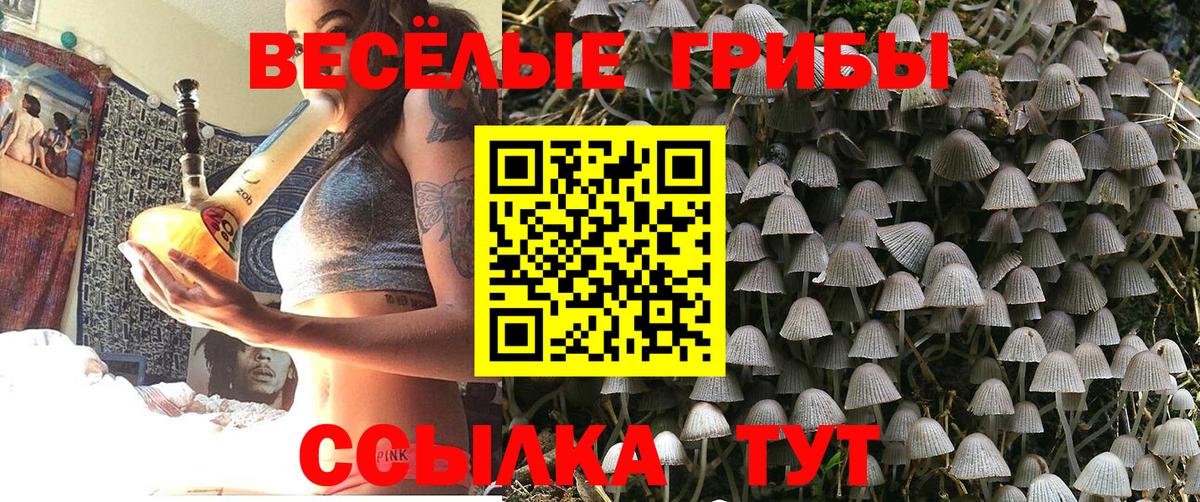 Псилоцибиновые грибы прущие грибы Кимры