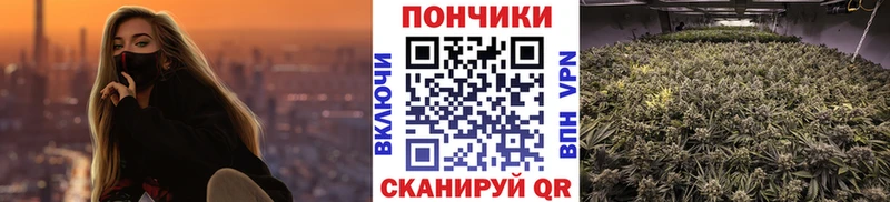 ОМГ ОМГ вход  Кимры  Канабис MAZAR  как найти наркотики 